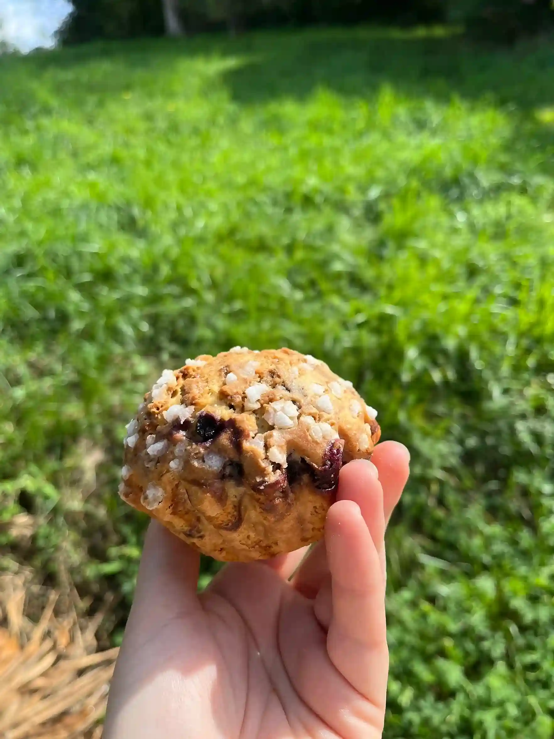 Mini Tourte à la myrtille