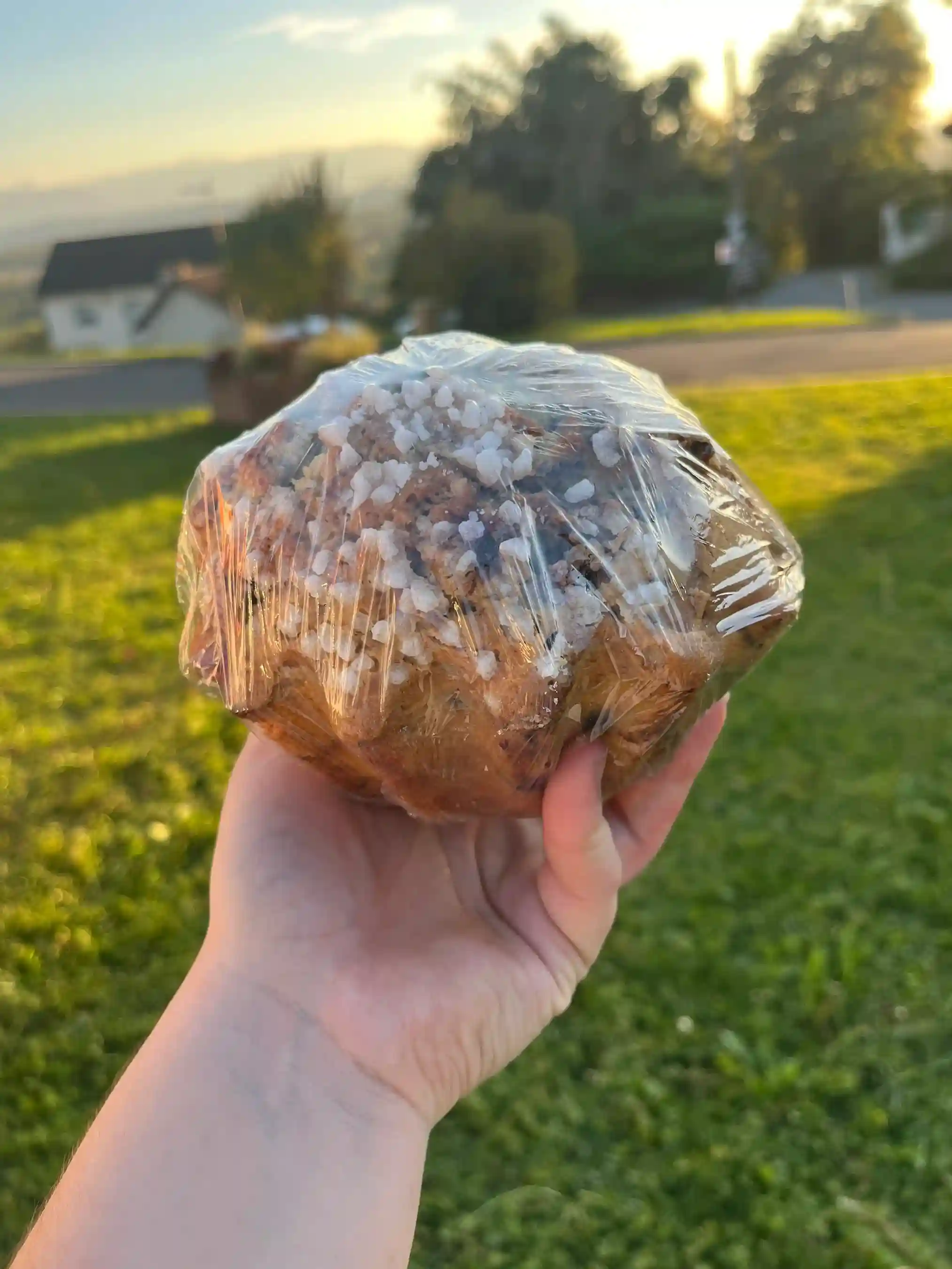 tourte à la myrtille